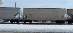 TCMX 313435